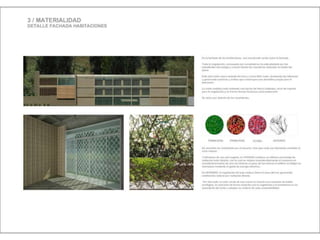 Julia de albuquerque