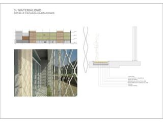 Julia de albuquerque