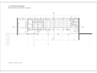 Julia de albuquerque