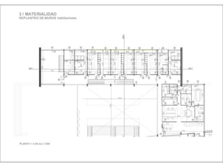 Julia de albuquerque