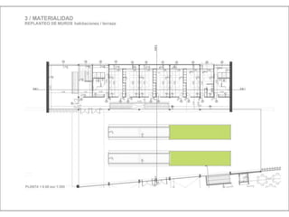 Julia de albuquerque