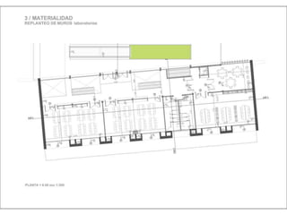 Julia de albuquerque