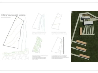 Julia de albuquerque