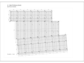 Julia de albuquerque