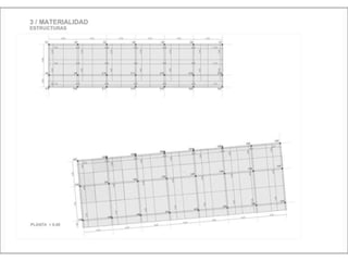 Julia de albuquerque