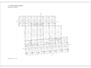 Julia de albuquerque