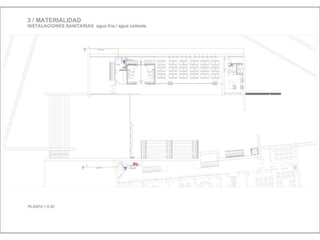 Julia de albuquerque