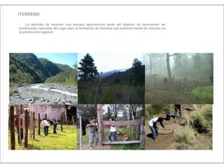 Julia de albuquerque