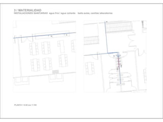 Julia de albuquerque