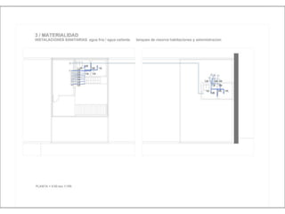 Julia de albuquerque