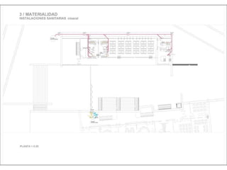 Julia de albuquerque