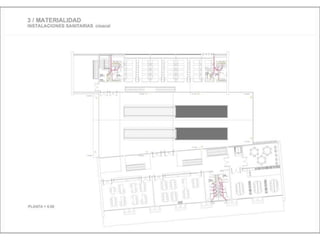 Julia de albuquerque