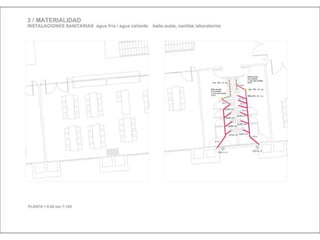 Julia de albuquerque