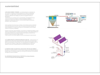 Julia de albuquerque