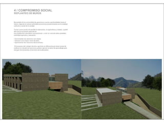 Julia de albuquerque