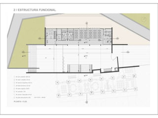 Julia de albuquerque