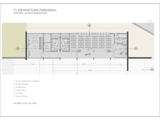 Julia de albuquerque