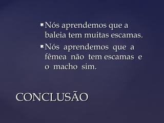  Nós aprendemos que a
     baleia tem muitas escamas.
    Nós aprendemos que a

     fêmea não tem escamas e
     o macho sim.


CONCLUSÃO
 