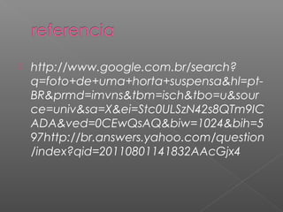    http://www.google.com.br/search?
    q=foto+de+uma+horta+suspensa&hl=pt-
    BR&prmd=imvns&tbm=isch&tbo=u&sour
    ce=univ&sa=X&ei=Stc0ULSzN42s8QTm9IC
    ADA&ved=0CEwQsAQ&biw=1024&bih=5
    97http://br.answers.yahoo.com/question
    /index?qid=20110801141832AAcGjx4
 