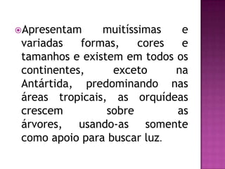 Apresentam muitíssimas e
variadas formas, cores e
tamanhos e existem em todos os
continentes, exceto na
Antártida, predominando nas
áreas tropicais, as orquídeas
crescem sobre as
árvores, usando-as somente
como apoio para buscar luz.
 