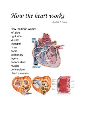 How the heart works
                                                                       By: Julia & Fatima

How the heart works:
left side
right side
valves:
tricuspid
mitral
aortic
pulmonary
layers:
endocardium
muscle
pericardium
Heart diseases:

 