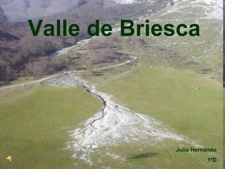 Valle de Briesca Julia Hernando 1ºD 