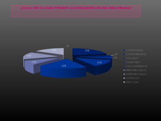 ¿Cómo VEN O COMO PERSIBEN LOS INTEGRANTES DE UNA TRIBU URBANA?
 
