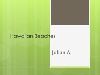 Hawaiian Beaches


              Julian A.
 