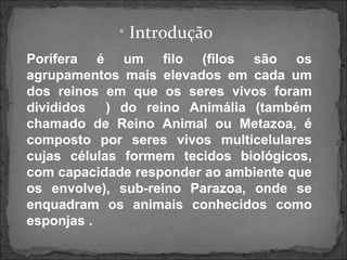 • Introdução
Porífera é um filo (filos são os
agrupamentos mais elevados em cada um
dos reinos em que os seres vivos foram
divididos ) do reino Animália (também
chamado de Reino Animal ou Metazoa, é
composto por seres vivos multicelulares
cujas células formem tecidos biológicos,
com capacidade responder ao ambiente que
os envolve), sub-reino Parazoa, onde se
enquadram os animais conhecidos como
esponjas .
 