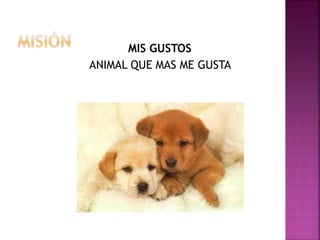 MIS GUSTOS
ANIMAL QUE MAS ME GUSTA
 