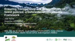 Julia Naime
Researcher, CIFOR-ICRAF
Senior Advisor, Rainforest Foundation Norway
With: Niki de Sy (WUR), Cauê Carilho (CIFOR-ICRAF), Colas Chervier
(CIFOR-ICRAF), Martin Herold (GFZ), Arild Angelsen (NMBU)
Ensuring Transparency and Accountability of
forest policies: a Deforestation Diagnostics
Framework
 