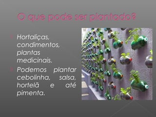  Hortaliças,
  condimentos,
  plantas
  medicinais.
 Podemos plantar
  cebolinha, salsa,
  hortelã     e até
  pimenta.
 