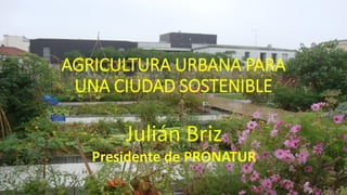 AGRICULTURA URBANA PARA
UNA CIUDAD SOSTENIBLE
Julián Briz
Presidente de PRONATUR
 