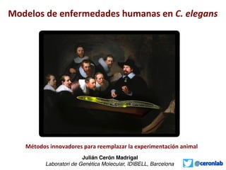 Modelos	
  de	
  enfermedades	
  humanas	
  en	
  C.	
  elegans
Julián Cerón Madrigal!
Laboratori de Genètica Molecular, IDIBELL, Barcelona!
Métodos	
  innovadores	
  para	
  reemplazar	
  la	
  experimentación	
  animal	
  
 