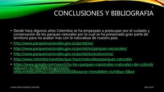 CONCLUSIONES Y BIBLIOGRAFIA
• Desde hace algunos años Colombia se ha empezado a preocupar por el cuidado y
conservación de los parques naturales por lo cual se ha preservado gran parte de
territorio para no acabar mas con la naturaleza de nuestro país.
• http://www.parquesnacionales.gov.co/portal/es/
• http://www.parquesnacionales.gov.co/portal/es/parques-nacionales/
• http://www.parquesnacionales.gov.co/portal/es/ecoturismo/
• http://www.colombia.travel/es/que-hacer/naturaleza/parques-naturales
• https://www.google.com/search?q=los+parques+nacionales+naturales+de+colomb
ia&sxsrf=ACYBGNRh3nvgVJUoOi-
nN6vm9iR8G49RxQ:1568949392092&source=lnms&tbm=isch&sa=X&ve
08/11/2019JULIAN DAVID GONZALEZ MOLANO
10
 