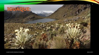 08/11/2019JULIAN DAVID GONZALEZ MOLANO
4
 