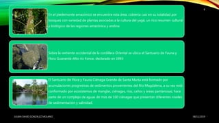 En el piedemonte amazónico se encuentra esta área, cubierta casi en su totalidad por
bosques con variedad de plantas asociadas a la cultura del yagé, un rico resumen cultural
y biológico de las regiones amazónica y andina
Sobre la vertiente occidental de la cordillera Oriental se ubica el Santuario de Fauna y
Flora Guanentá-Alto río Fonce, declarado en 1993
El Santuario de Flora y Fauna Ciénaga Grande de Santa Marta está formado por
acumulaciones progresivas de sedimentos provenientes del Río Magdalena, a su vez está
conformado por ecosistemas de manglar, ciénagas, ríos, caños y áreas pantanosas; hace
parte de un complejo de aguas de más de 100 ciénagas que presentan diferentes niveles
de sedimentación y salinidad.
08/11/2019JULIAN DAVID GONZALEZ MOLANO
8
 