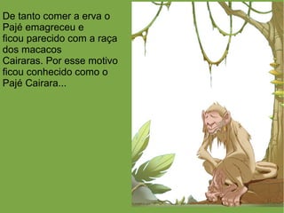 De tanto comer a erva o
Pajé emagreceu e
ficou parecido com a raça
dos macacos
Cairaras. Por esse motivo
ficou conhecido como o
Pajé Cairara...
 