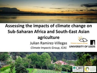 Assessing the impacts of climate change on Sub-Saharan Africa and South-East Asian agriculture Julian Ramirez-Villegas Climate Impacts Group, ICAS (c) Neil Palmer (CIAT) 