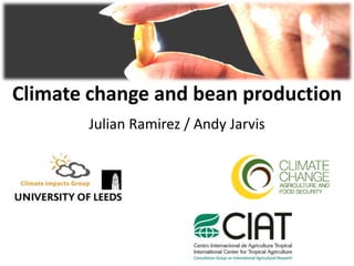 Climate change and bean production
       Julian Ramirez / Andy Jarvis




                                      (c) Neil Palmer (CIAT)
 