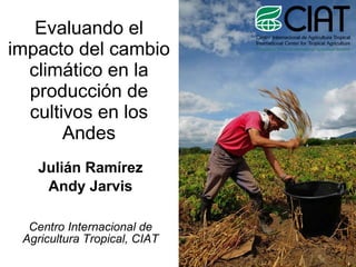 Evaluando el impacto del cambio climático en la producción de cultivos en los Andes Julián Ramírez Andy Jarvis Centro Internacional de Agricultura Tropical, CIAT 