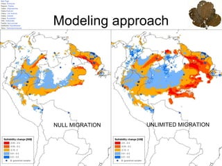 Julian R - Evaluating the impact of climate change on global plant biodiversity