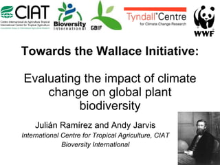 Towards the Wallace Initiative: Evaluating the impact of climate change on global plant biodiversity Julián Ramírez and Andy Jarvis International Centre for Tropical Agriculture, CIAT Bioversity International 