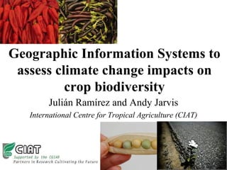 Geographic Information Systems to assess climate change impacts on crop biodiversity Julián Ramírez and Andy Jarvis International Centre for Tropical Agriculture (CIAT) 
