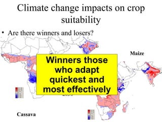 Julian R - GIS To Assess The Impact Of Climate Change On Crop Biodiversity - World Congress On Conservation Agriculture, New Delhi (India)