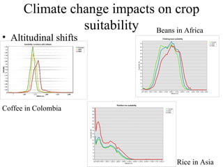 Julian R - GIS To Assess The Impact Of Climate Change On Crop Biodiversity - World Congress On Conservation Agriculture, New Delhi (India)