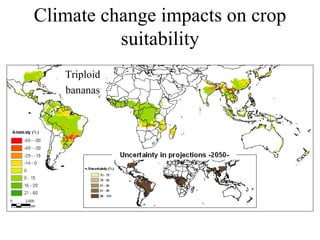 Julian R - GIS To Assess The Impact Of Climate Change On Crop Biodiversity - World Congress On Conservation Agriculture, New Delhi (India)