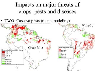Julian R - GIS To Assess The Impact Of Climate Change On Crop Biodiversity - World Congress On Conservation Agriculture, New Delhi (India)