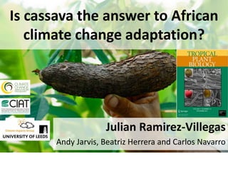 Is cassava the answer to African
   climate change adaptation?




                    Julian Ramirez-Villegas
       Andy Jarvis, Beatriz Herrera and Carlos Navarro
 