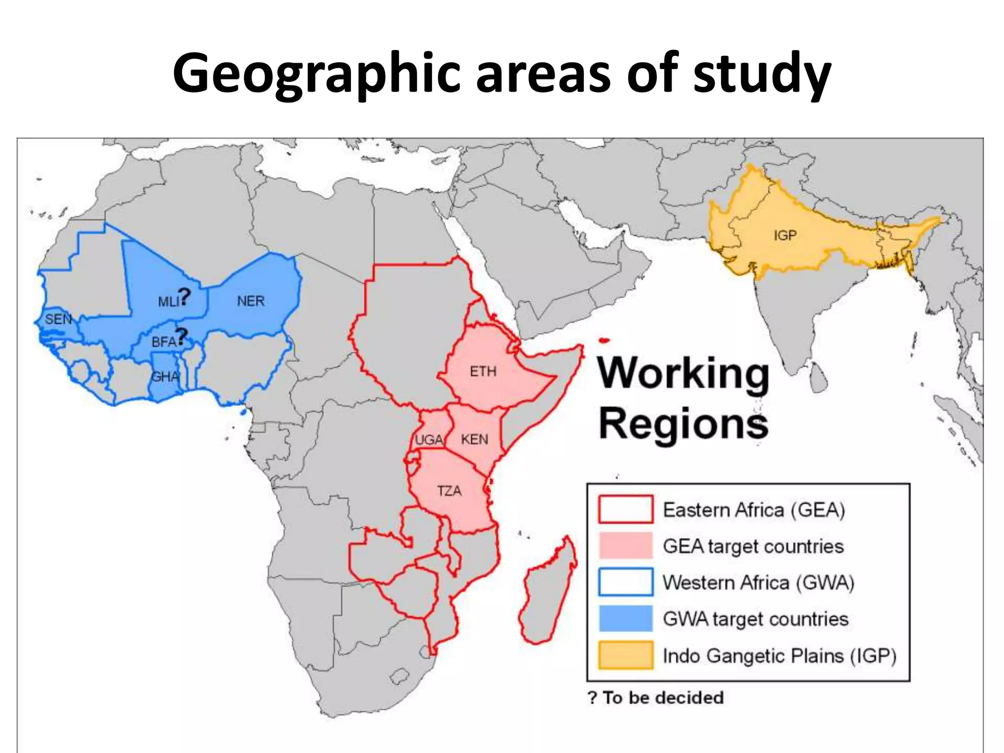 Geographic areas of study
 